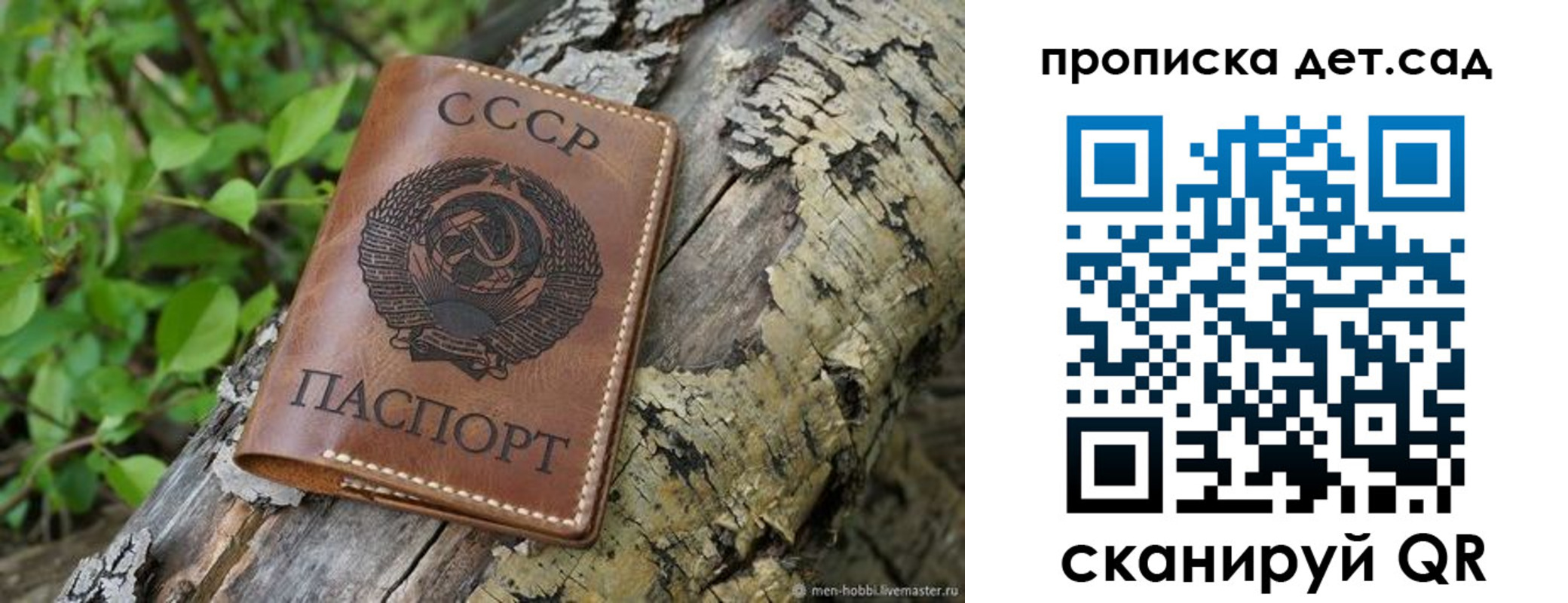 прописка иностранных граждан в Вытегре